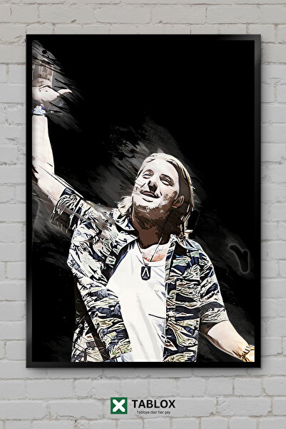 tablomaxtbx Axwell DJ Swedish House Mafia Muzică electronică EDM Aspect cadru...