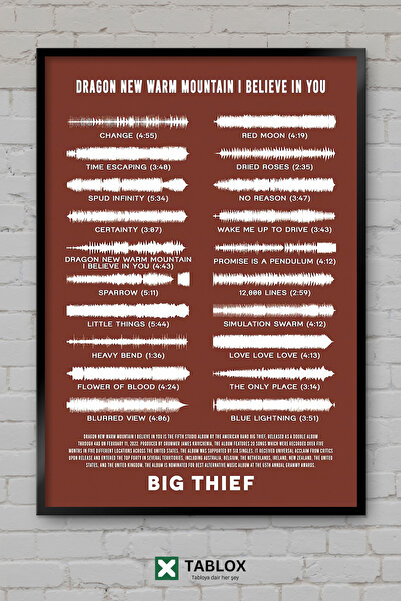 tablomaxtbx Velika grupa muzičkih bendova Big Thief, indie rok poster, umetni...