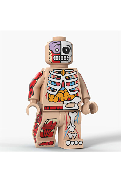 Choice C Cartoon Transparent Human Anime Muscle Anatomy Skeletal Bodys Action...