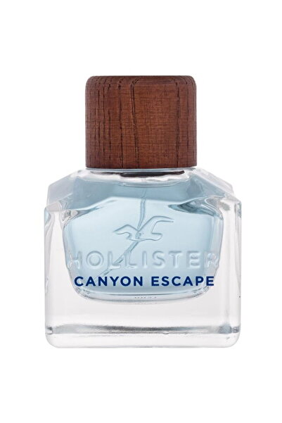Hollister Co. Canyon