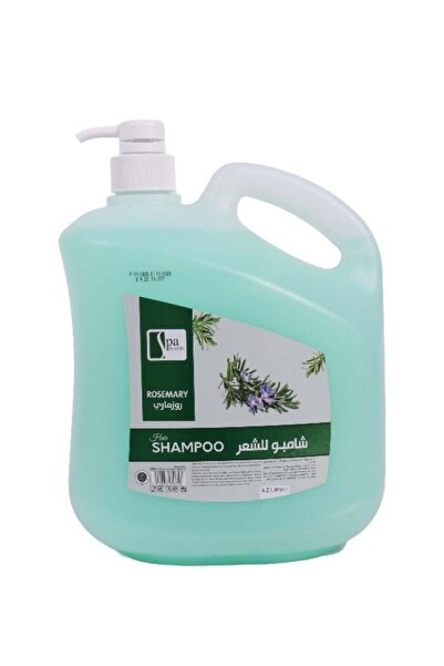 raghwah Shampoo for hair spa system with rosemary extract 4,2 l
