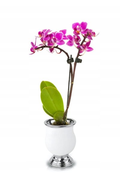 Polnix Ghiveci ceramic decorativ tip urnă, 21 cm, alb