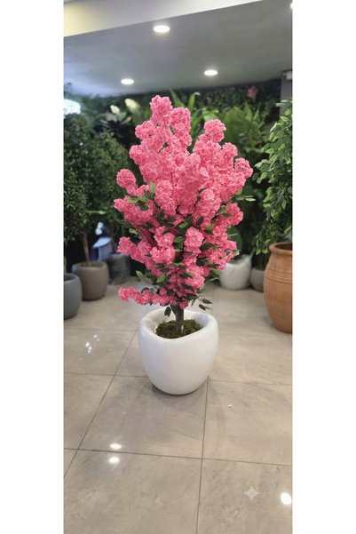 İremÇiçekçilik Beyaz Hacimli saksıda Pembe Bahardalı - 160 cm