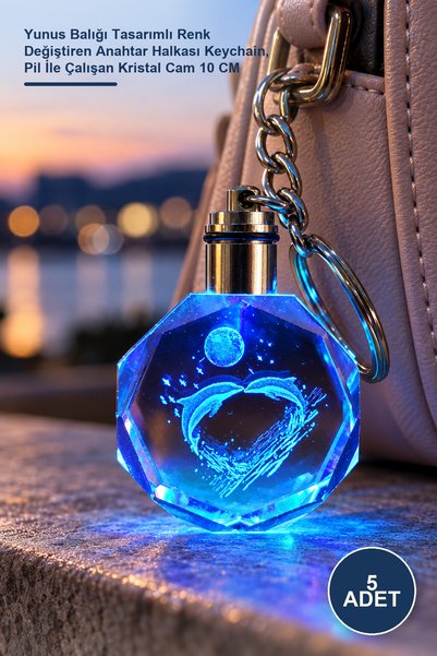 Yenilig 5 Pieces of Light-Up Crystal Keychain – Dolphin Design Color-Changing...