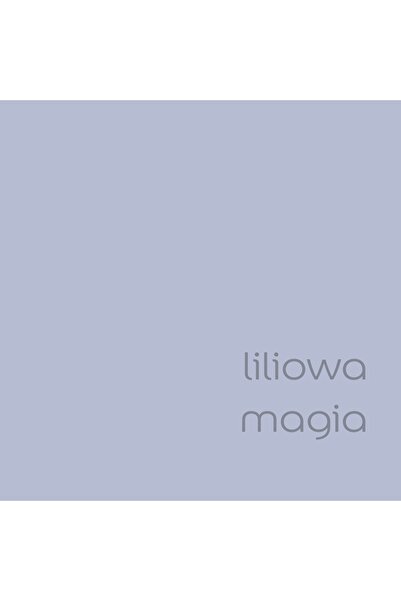 DULUX EasyCare vopsea latex pentru pereți Lila magic mat 2,5L