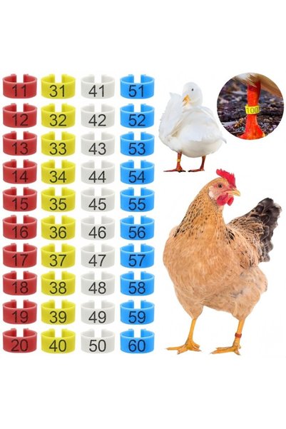 Nafpro Set de 50 inele numerotate pentru puști, 20 mm, multicolore