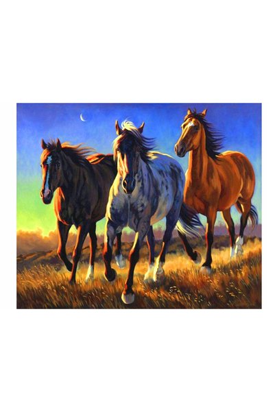 Norimpex Pictură pe numere 3 cai în galop cu ramă 50x40
