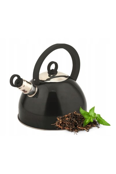 Odelo Fierbător 2,5L cu fluier, pentru gaz și inducție, din oțel inoxidabil, ...