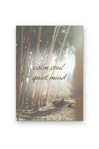 OEM Poster Carton 250g A4, Citat Suflet Calm Minte Linistita, Decor Perete Mo...