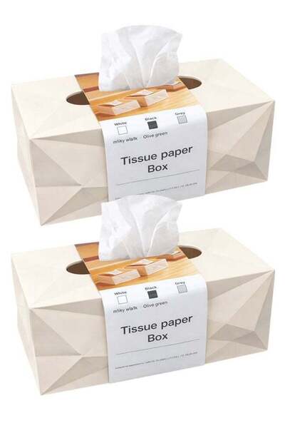 Generic 2 Beige Modern Tissue Box Cover with Lid – Decorative Rectangular Tis...