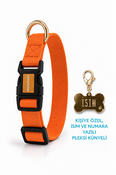 CARAMELOS İSİMLİ KÖPEK TASMASI, AYARLANABİLİR YAVRU, MİNİ, ORTA VE BÜYÜK IRK ...
