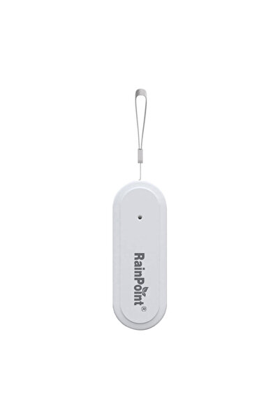 RAINPOINT Smart Thermohygrometer Smart+