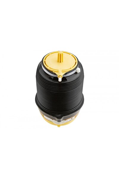 NTY Arc pneumatic AUDI A6 C6 2004-,A6 C6 AVANT 2004-,A6 C6 ALLROAD 2006-/SPAT...