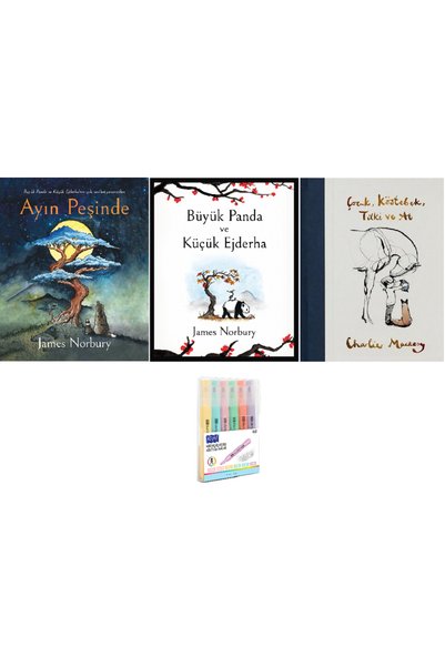Epsilon Yayınevi Chasing the Moon + Big Panda and Little Dragon + Children's ...