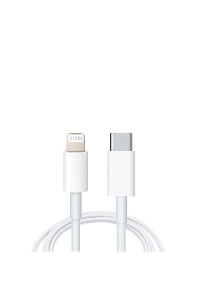 DAO Compatible 3A Lightning - USB Type C Data Cable, 1m, White