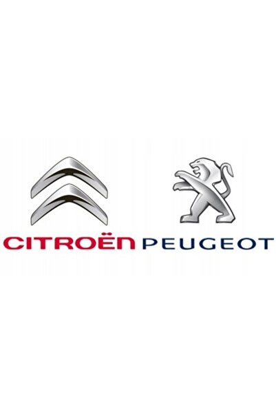 ASTA CITROEN, PEUGEOT 1.0, 1.2 VTi ASTA BLOCARE GUVERNAMENTALĂ.