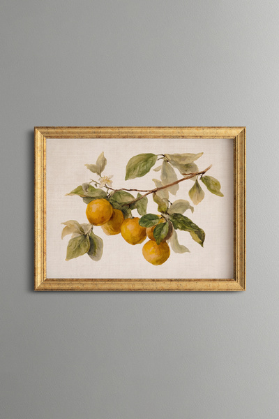 epiqart Oranges on the Branch - Vintage Patterned Painting - Fine Model