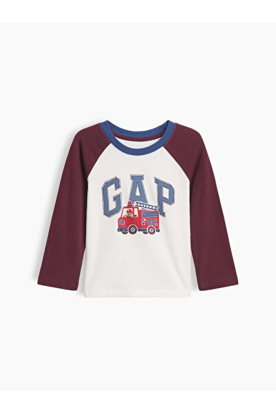 GAP Erkek Bebek Bordo Colorblock Logo T-Shirt