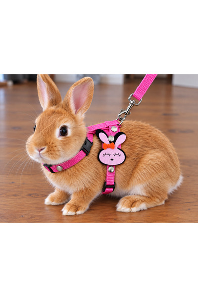 MIT Rabbit Guinea Cat Neck Collar with Rabbit Figure Pink