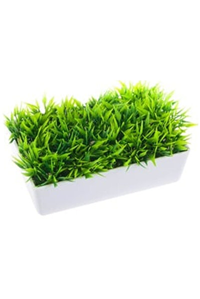 OEM Suport din Plastic Model Ghiveci pentru Sapun 12x7.5x4cm