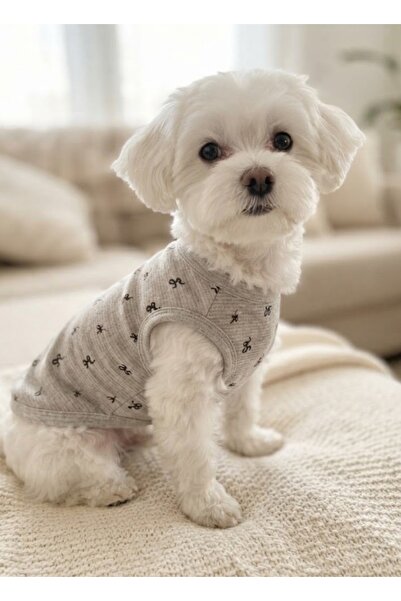 atelyu Cat Dog Outfit Gray Bow Patterned Stretchy Tshirt Tank Top