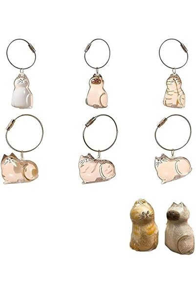 Bukela 6 Pcs Cat Hair Keychains, Plastic Pet Hair Storage Pendant With Twist ...