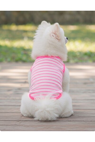 atelyu Cat Dog Outfit Pink Striped Tshirt Tank Top