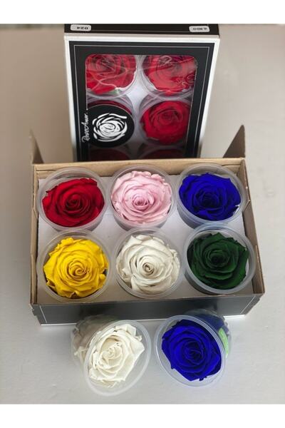 Rose Amor Şoklanmış 6'lı Karışık Xl Şoklanmış Solmayan Gül