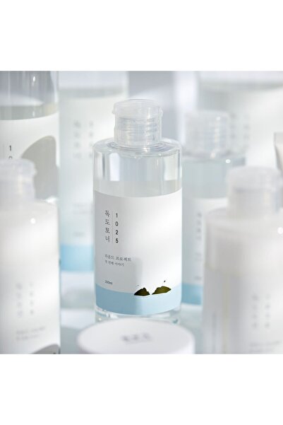 Round Lab Round Lab 1025 DOKDO TONER 100ml - Smoothing facial toner