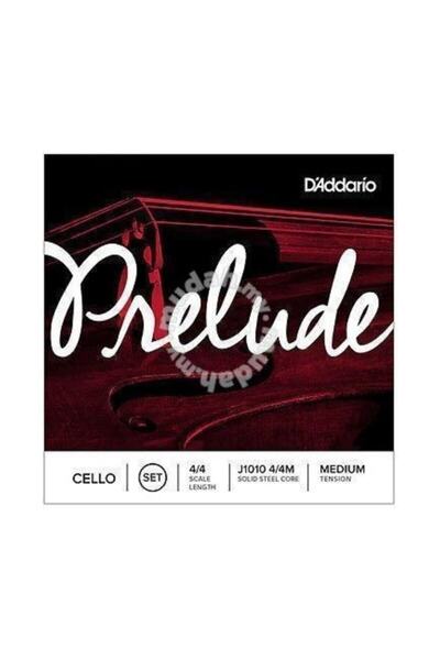 Daddario J1010 4/4m Prelude Çello Teli