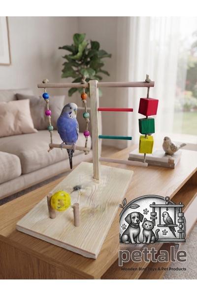 PetTale Wooden Bird Playground, Budgie Entertainment and Activity Center, Nat...