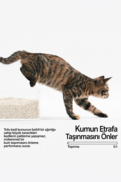 Tofu Kedi Kumu 2.4 kg