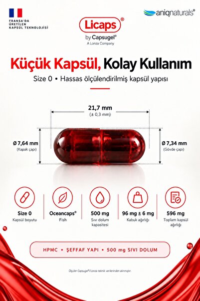 Superba Boost Krill Yağı 60 Licaps Krıll Oıl Takviye Edici Gıda