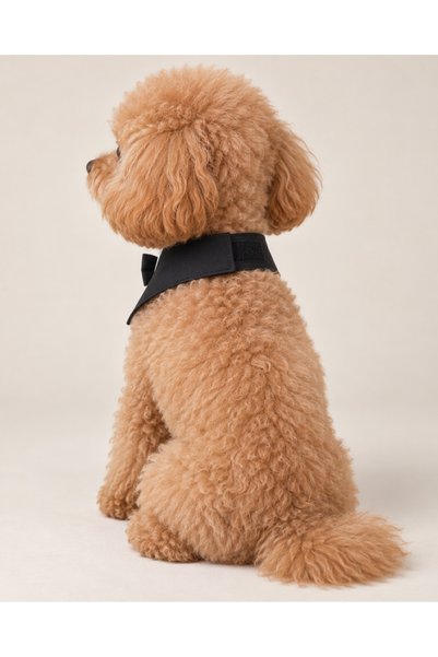 CONDELSA Dog Bow Tie, Tuxedo Style Dog Bandana – Special Occasion Dog Accessory