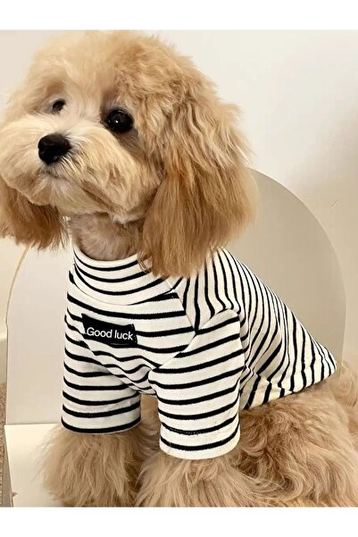 Choice1 M white Autumn Winter Pet Dog Thermal Shirt, Dog Clothes for Small Br...