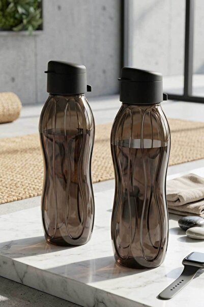 HOMENIVA 2'li Set Eko Şişe Suluk - Pratik Kapak Matara 2x750 ml Siyah - Mor