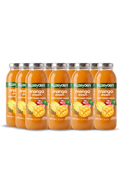 KUZEYDEN %100 Karışık Meyve Mango Suyu | 12x250ml | İlave şeker, katkı ve kor...