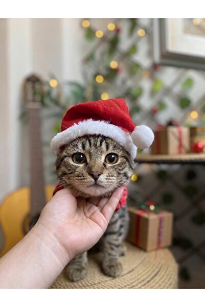 Patipatron Yeni Yıl Kedi Şapkası Lastikli Yılbaşı Şapkası Yetişkin ve Yavru K...
