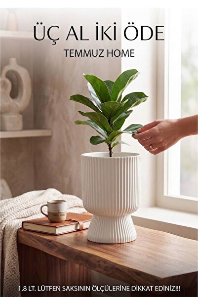 TEMMUZ HOME Lotus 1 Adet 1.8 Litre Ayaklı Saksı - 19.5 cm X 14 cm Çiçek ve Bi...