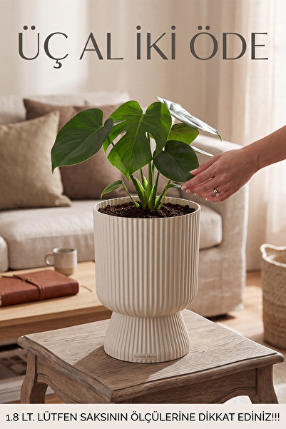 TEMMUZ HOME Lotus 1 Adet 1.8 Litre Ayaklı Saksı - 19.5 cm X 14 cm Çiçek ve Bi...
