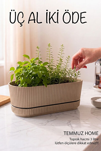TEMMUZ HOME Pera 2 No Uzun Saksı Çiçek Sukulent Kaktüs Ve Bitki Saksısı. 3 Litre