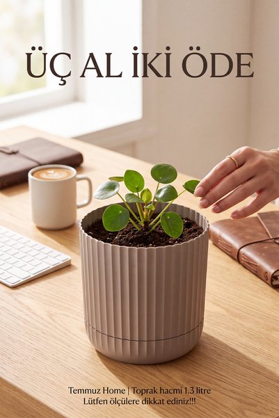 TEMMUZ HOME Zeraf Saksı No:1 – 1 Adet 1.3 Litre Tabaklı Masa ve Sehpa Üzeri S...