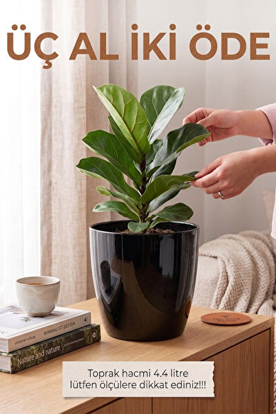 TEMMUZ HOME “1 Adet No:3 –4.4 Litre Tabaksız, Drenaj Izgaralı, Parlak Tasarım...