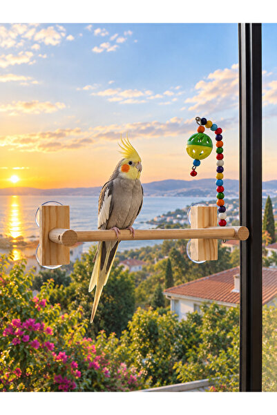 ADAPATİ PET DÖRT VANTUZLU CAM TÜNEĞİ OYUN PARKURU SULTAN SEVDA CENNET MUHABBE...