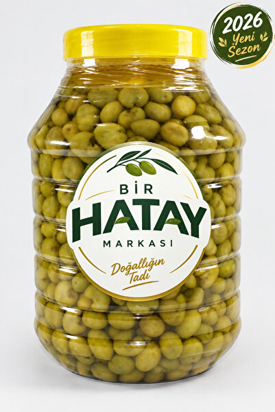 GEREKSEAL Antakya Kırma Yeşil Zeytin, Yeşil Zeytin, Kırma Yeşil Zeytin(5LİK) ...
