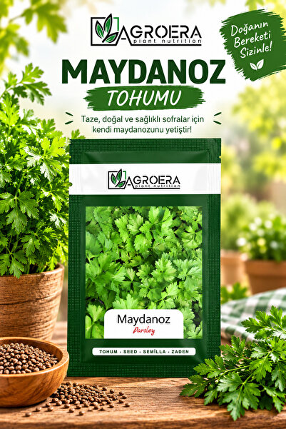 AGROERA Maydanoz Tohumu Geniş Yaprak Maydonoz 7000 Adet / 10 Gr.
