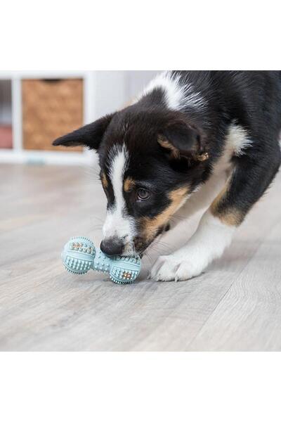 Trixie Doğal Kauçuk Dambıl Yavru Köpek Oyuncağı 9cm