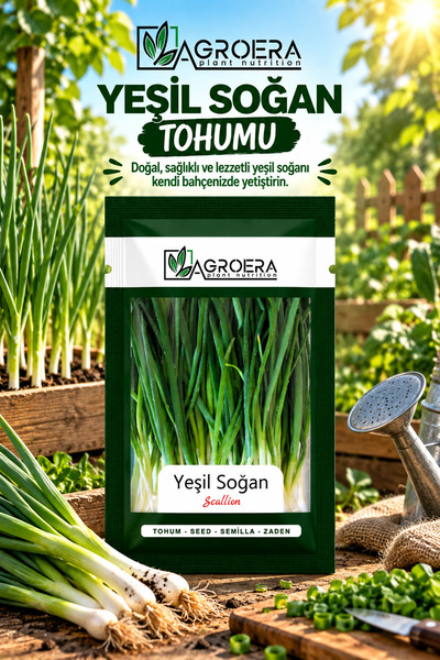 AGROERA Soğan Tohumu Demet Yeşil - Yeşil Soğan (5Gr - 900 Adet )