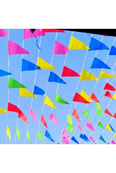 Choice 100PCS Colorful Flags Triangular String Flags, Outdoor Opening Festiva...