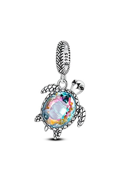 Choice39 TTC416 925 Sterling Silver Charms Beads Passport Dog Shoes Dangle Fi...